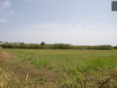 ...oltre i quali si estende il verde canneto che divide in due la localit�